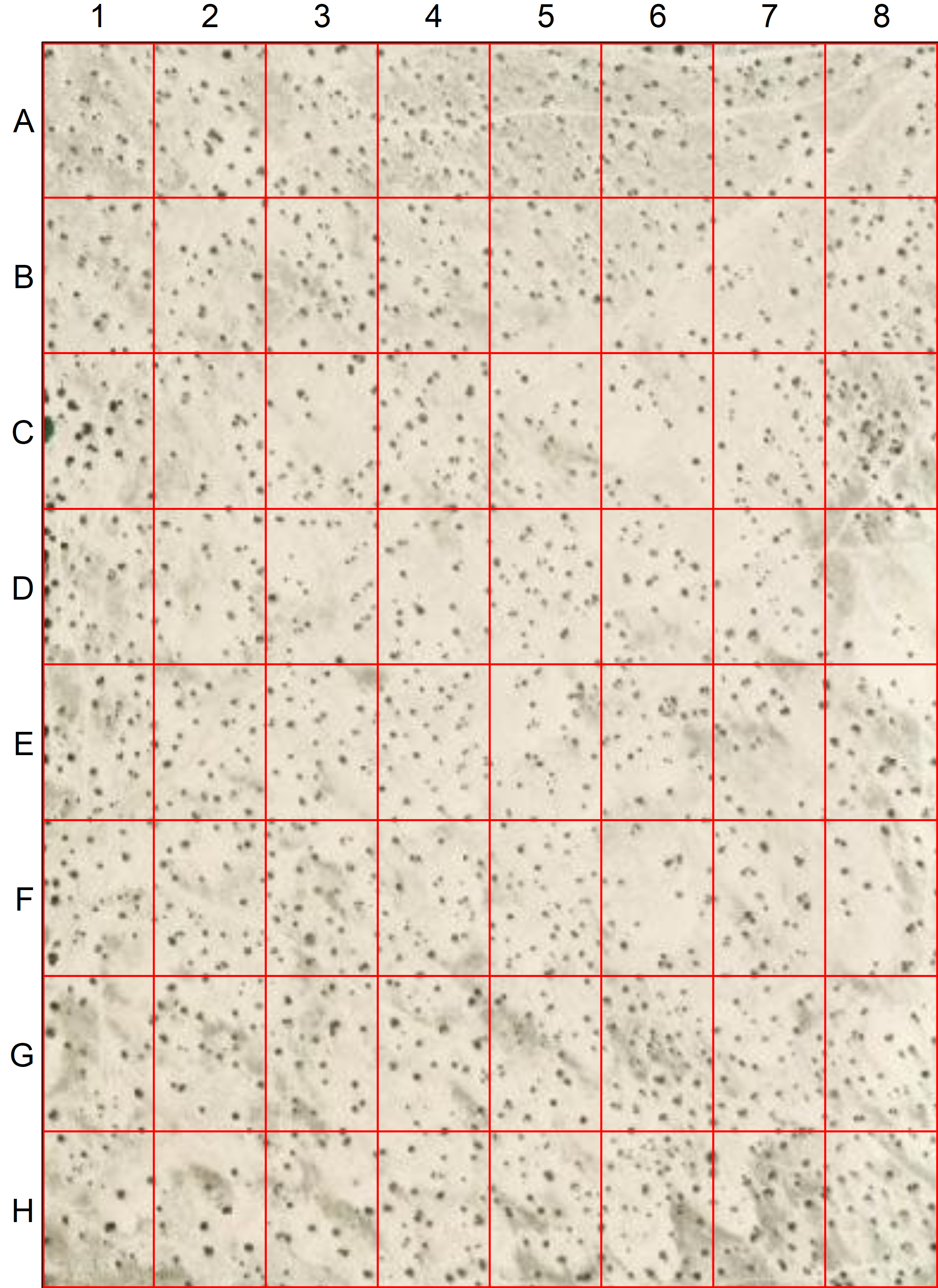 Group Assignment - Desert Shrubs Sampling Introduction to Quantitative ...